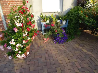 Ein Garten an der Unterkunft Ferienwohnungen Amselweg