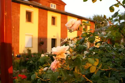 Ein Garten an der Unterkunft Ferienwohnungen Amselweg