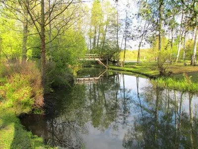 Naturlandschaft in der Nähe der Ferienwohnung