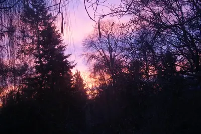Blick auf den Sonnenuntergang/Sonnenaufgang von der Ferienwohnung aus oder aus der Nähe