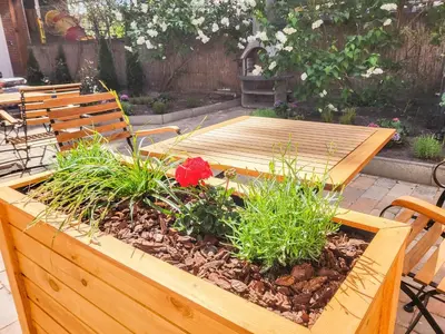 Ein Garten an der Unterkunft Ferienwohnung Backstube
