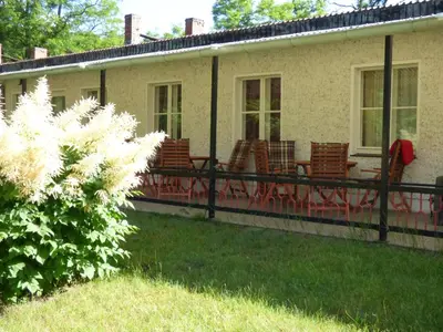 Ein Garten an der Unterkunft Pension Seeterrasse