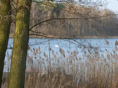 Naturlandschaft in der Nähe der Pension