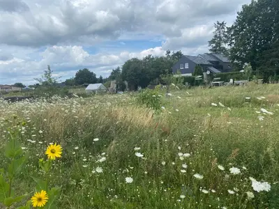 Naturlandschaft in der Nähe des Ferienhauses