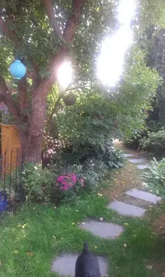 Ein Garten an der Unterkunft Das kleine Ferienhaus