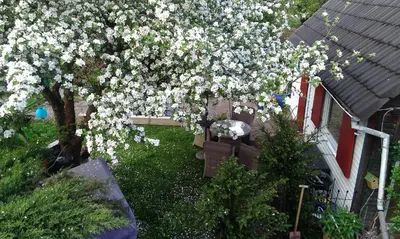 Ein Garten an der Unterkunft Das kleine Ferienhaus