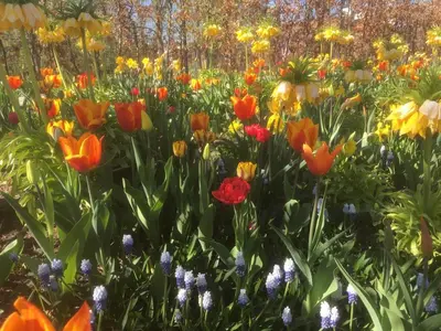 Ein Garten an der Unterkunft Gut Gnewikow