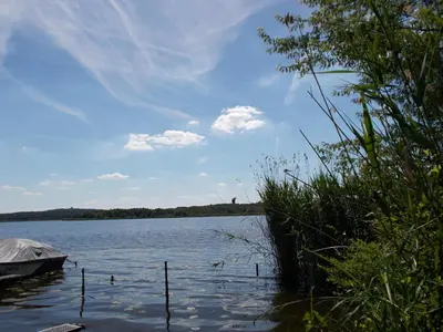 Naturlandschaft in der Nähe des Ferienhauses