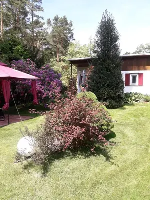 Ein Garten an der Unterkunft Ferienhaus am Langen See