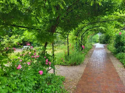 Ein Garten an der Unterkunft Gäste- und Tagungshaus am Glockengarten