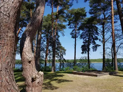 Naturlandschaft in der Nähe des Ferienhauses