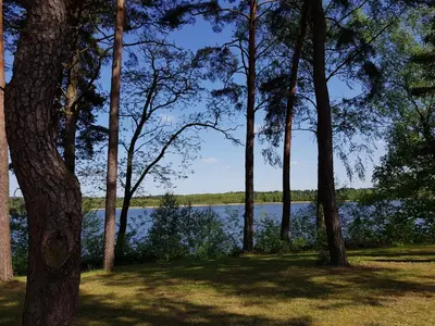 Naturlandschaft in der Nähe des Ferienhauses