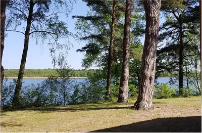 Naturlandschaft in der Nähe des Ferienhauses