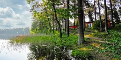 Naturlandschaft in der Nähe des Ferienhauses