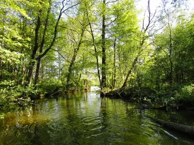 Naturlandschaft in der Nähe des Ferienhauses