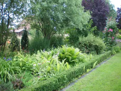 Ein Garten an der Unterkunft Spreewald-Ferienwohnung Reschke