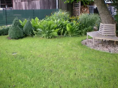 Ein Garten an der Unterkunft Spreewald-Ferienwohnung Reschke