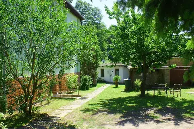 Ein Garten an der Unterkunft Ferien am Hegensteinbach