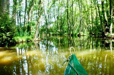 Naturlandschaft in der Nähe des Ferienhauses