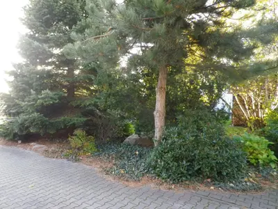Ein Garten an der Unterkunft Hopfenkammer Schorfheide
