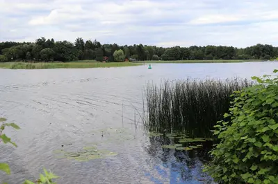 Naturlandschaft in der Nähe der Ferienwohnung