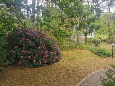Ein Garten an der Unterkunft Fahrradpension am Weg nach Kopenhagen