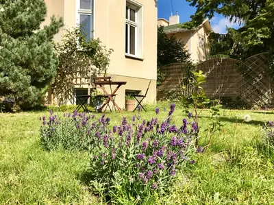Ein Garten an der Unterkunft Bürgerpark Apartments