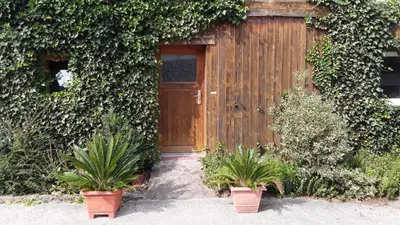 Ein Garten an der Unterkunft Gästezimmer Sommer Locktow