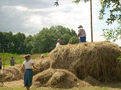 Gäste, die in der Unterkunft Spreewaldunterkunft Buchecker übernachten