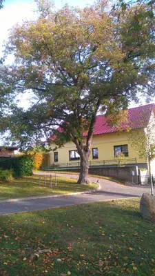 Die Umgebung um die Ferienwohnung