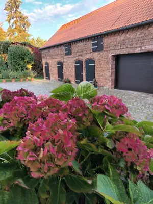 Ein Garten an der Unterkunft Ferienwohnung Perlitz