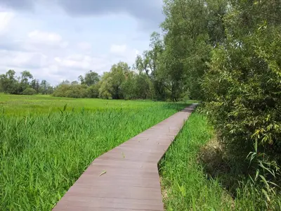 Naturlandschaft in der Nähe der Ferienwohnung