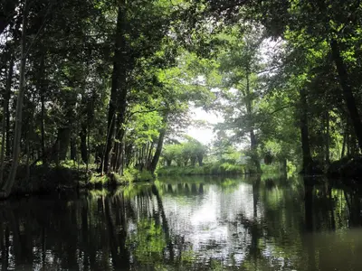 Naturlandschaft in der Nähe der Ferienwohnung