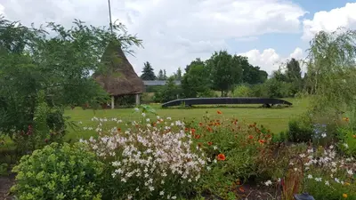 Ein Garten an der Unterkunft Spreewaldhaus zum Schoberplatz