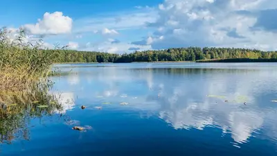 Naturlandschaft in der Nähe der Ferienwohnung