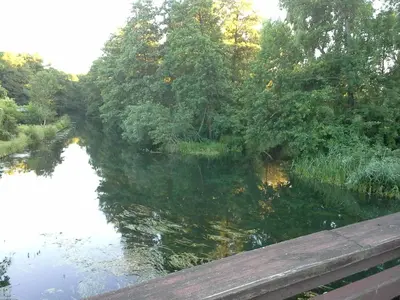 Naturlandschaft in der Nähe der Ferienwohnung