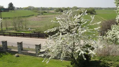 Naturlandschaft in der Nähe der Ferienwohnung