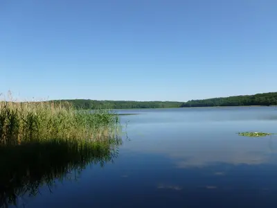 Naturlandschaft in der Nähe der Ferienwohnung