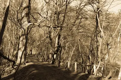 Naturlandschaft in der Nähe des Ferienhauses