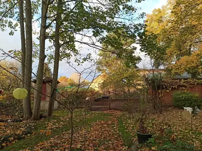 Ein Garten an der Unterkunft maisonette