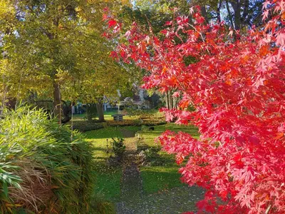 Ein Garten an der Unterkunft maisonette