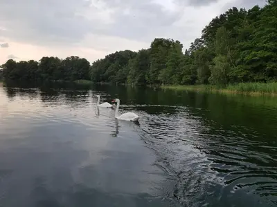 Naturlandschaft in der Nähe der Pension