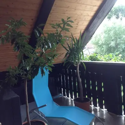 Ein Balkon oder eine Terrasse in der Unterkunft Eulennest Oranienburg