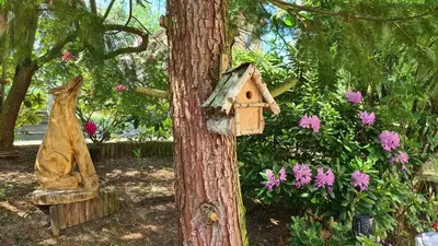 Ein Garten an der Unterkunft Hotel Am Wald B&B