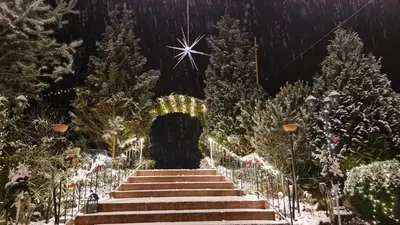 Grundriss der Unterkunft Hotel Am Wald B&B