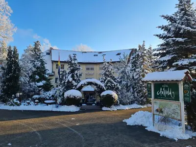 Hotel Am Wald B&B im Winter