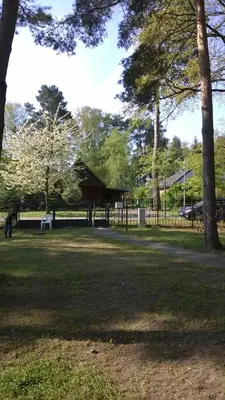 Ein Garten an der Unterkunft Ferienanlage 