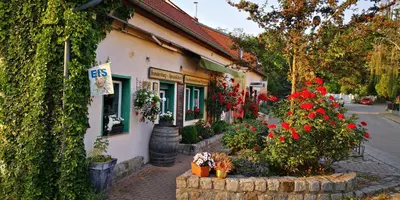 Ein Garten an der Unterkunft Zimmer am Schwielowsee
