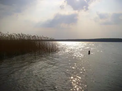 Naturlandschaft in der Nähe des Ferienhauses