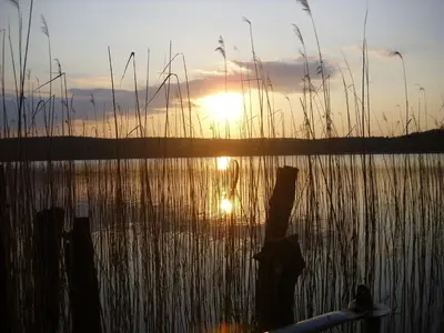 Naturlandschaft in der Nähe des Ferienhauses